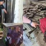 Mayat Wanita Dalam Koper: Penemuan Mengerikan di Pangkep